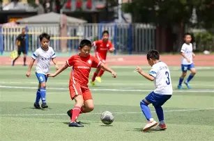 马加特深情,对话杨晨,金玉良言点,PINBO,Sports,平博体育,体育直播,体育赛事,APP下载,官方网地址