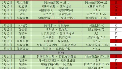 狄龙梁小伟联袂助视障跑者撒哈拉马拉松开跑